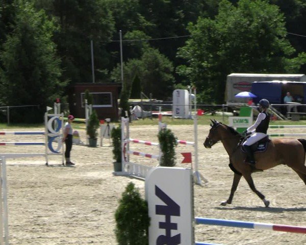 Reitturnier Bad Liebenstein/Sorga 2025
