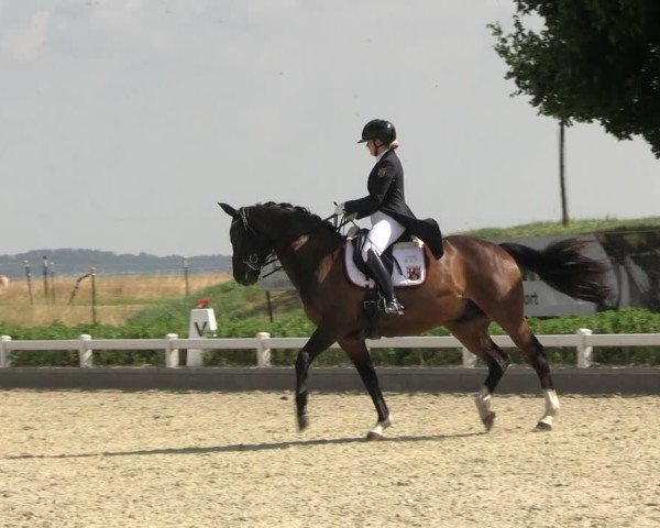 Reitturnier Dresden Gompitz 2025