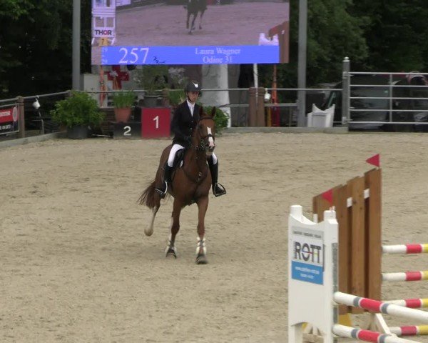 Reitturnier Uder, Reitanlage Kobold 2025