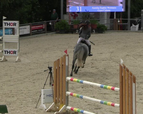 Reitturnier Uder, Reitanlage Kobold 2025
