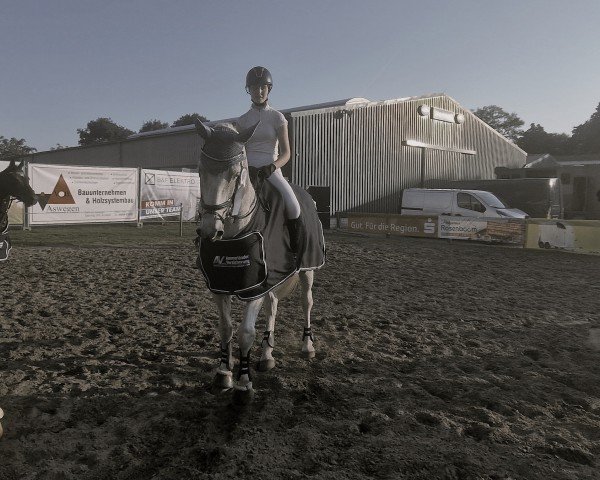 broodmare Celina (Oldenburg, 2010, from Cellestial)