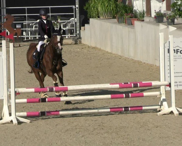 Reitturnier Uder, Reitanlage Kobold 2025