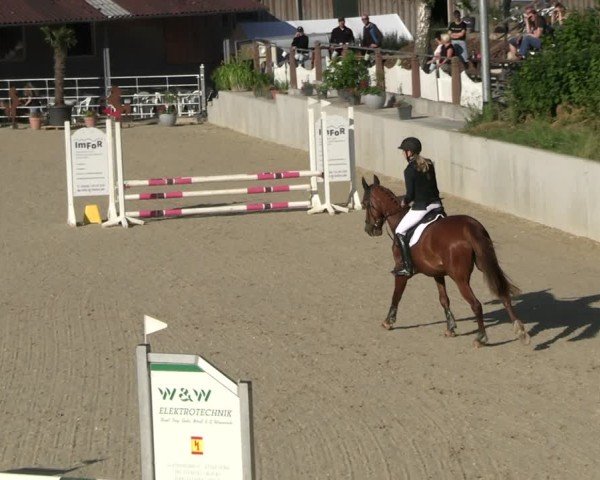 Reitturnier Uder, Reitanlage Kobold 2025