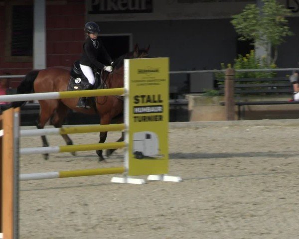 Reitturnier Uder, Reitanlage Kobold 2025