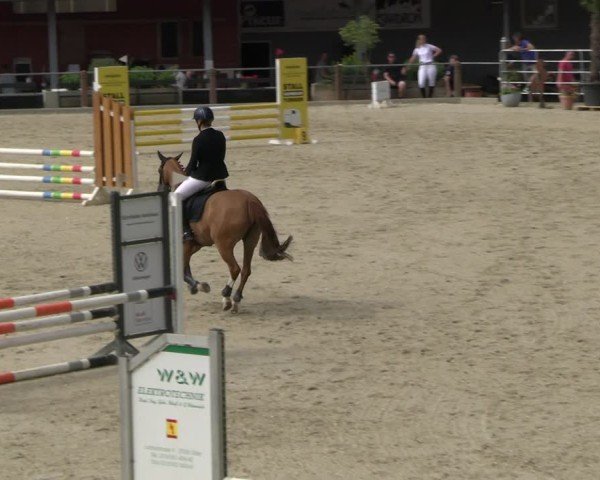 Reitturnier Uder, Reitanlage Kobold 2025