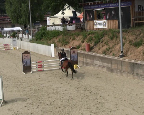 Reitturnier Uder, Reitanlage Kobold 2025