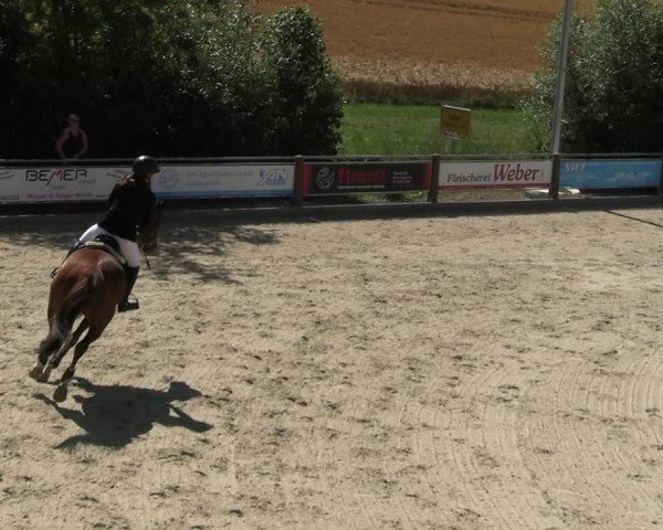 Reitturnier Uder, Reitanlage Kobold 2025