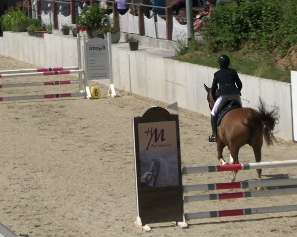 Reitturnier Uder, Reitanlage Kobold 2025