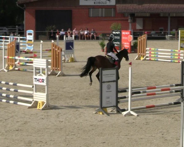 Reitturnier Uder, Reitanlage Kobold 2025