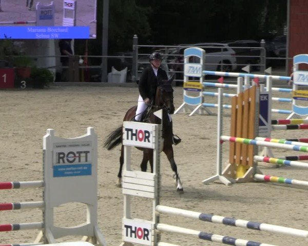 Reitturnier Uder, Reitanlage Kobold 2025
