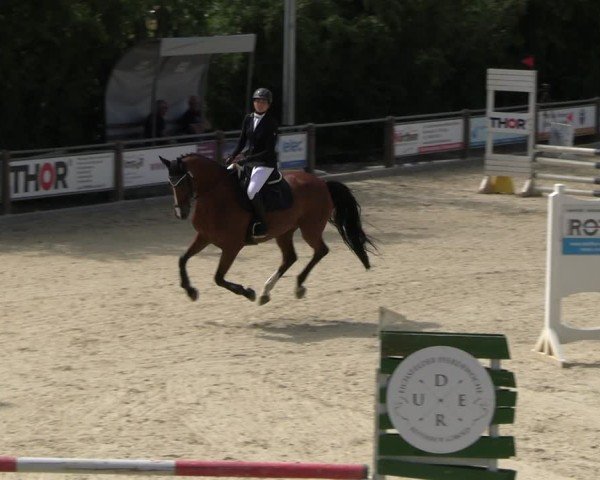 Reitturnier Uder, Reitanlage Kobold 2025