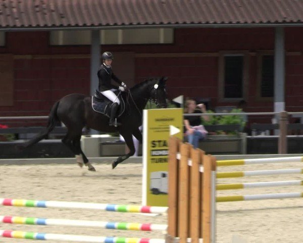 Reitturnier Uder, Reitanlage Kobold 2025