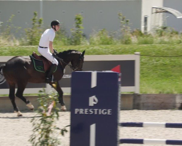 Reitturnier Babenhausen/Schw. 2025