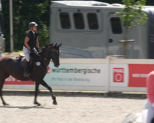Reitturnier Babenhausen/Schw. 2025