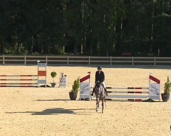 Reitturnier Tiefenhof/Opf. 2025