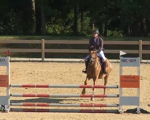 Reitturnier Tiefenhof/Opf. 2025