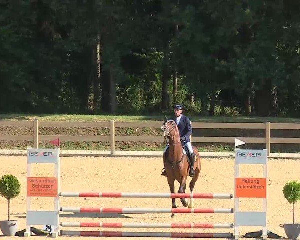 Reitturnier Tiefenhof/Opf. 2025