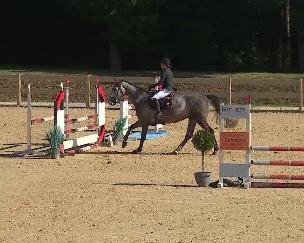 Reitturnier Tiefenhof/Opf. 2025