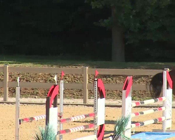 Reitturnier Tiefenhof/Opf. 2025