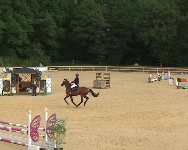 Reitturnier Tiefenhof/Opf. 2025