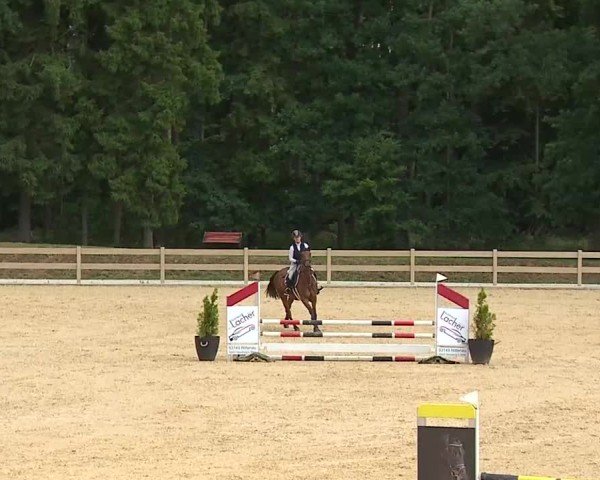 Reitturnier Tiefenhof/Opf. 2025