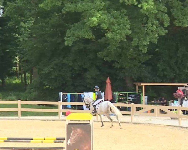 Reitturnier Tiefenhof/Opf. 2025