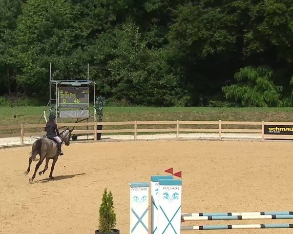 Reitturnier Tiefenhof/Opf. 2025