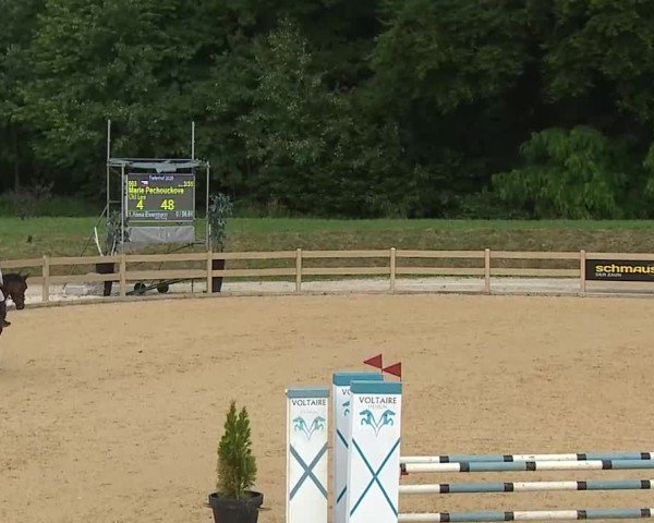 Reitturnier Tiefenhof/Opf. 2025