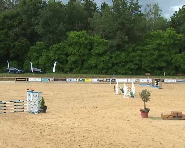 Reitturnier Tiefenhof/Opf. 2025
