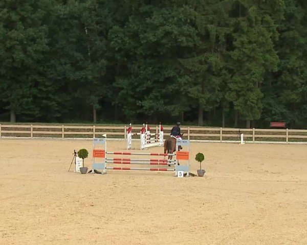 Reitturnier Tiefenhof/Opf. 2025