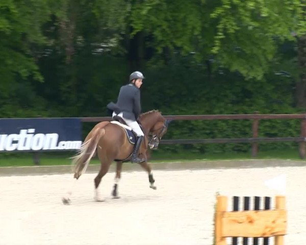 Klein Roscharden May Tour 2014