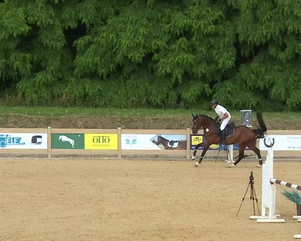 Reitturnier Tiefenhof/Opf. 2025