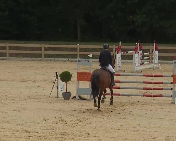 Reitturnier Tiefenhof/Opf. 2025