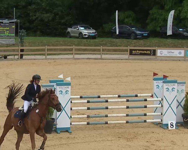 Reitturnier Tiefenhof/Opf. 2025