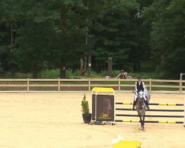 Reitturnier Tiefenhof/Opf. 2025