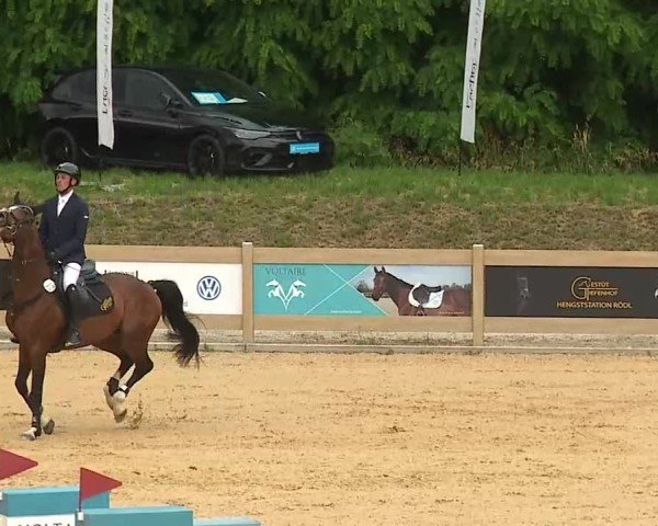 Reitturnier Tiefenhof/Opf. 2025