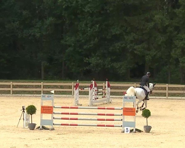Reitturnier Tiefenhof/Opf. 2025