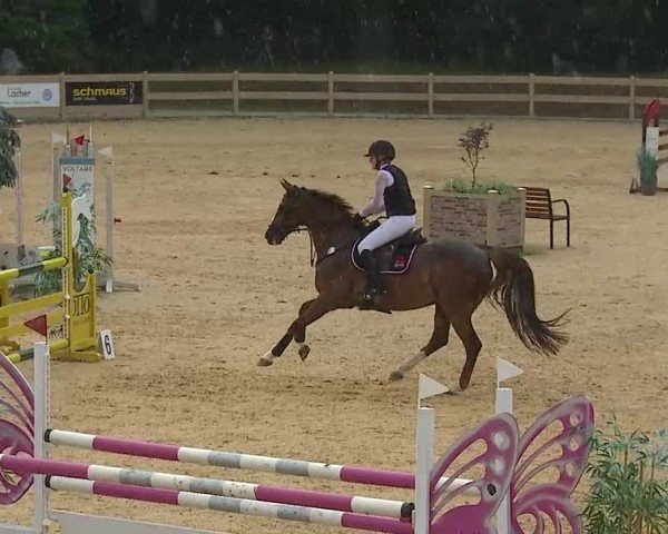 Reitturnier Tiefenhof/Opf. 2025