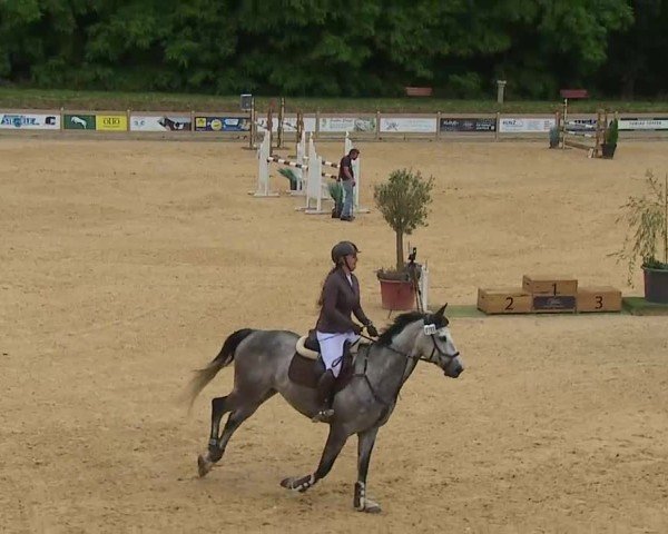 Reitturnier Tiefenhof/Opf. 2025