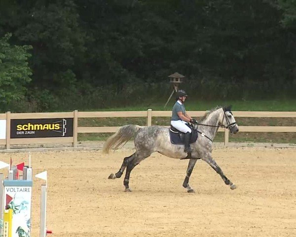Reitturnier Tiefenhof/Opf. 2025
