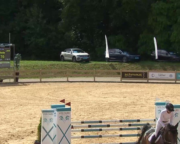 Reitturnier Tiefenhof/Opf. 2025