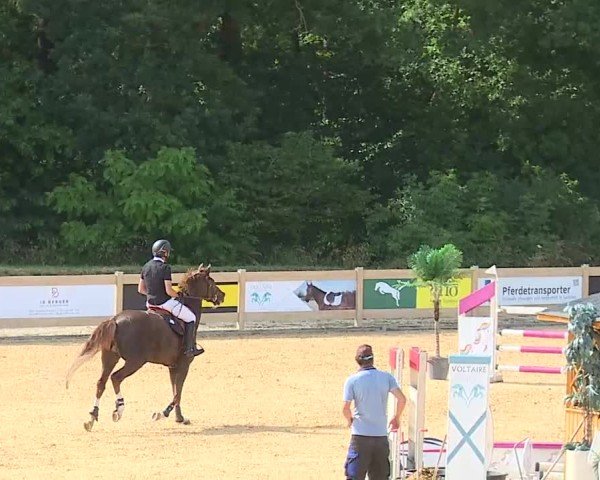 Reitturnier Tiefenhof/Opf. 2025