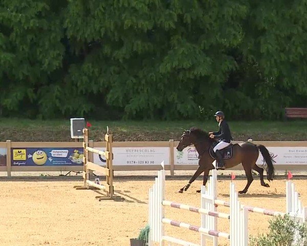 Reitturnier Tiefenhof/Opf. 2025