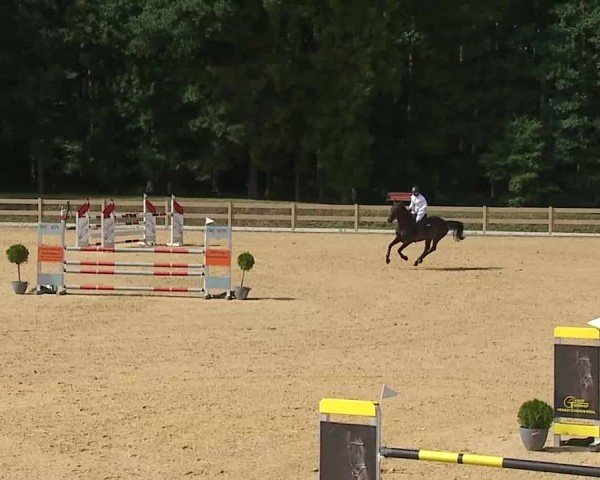 Reitturnier Tiefenhof/Opf. 2025