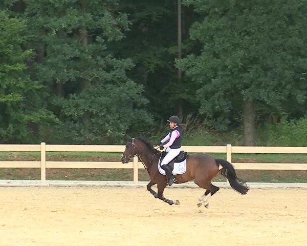 Reitturnier Tiefenhof/Opf. 2025