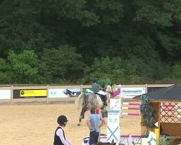 Reitturnier Tiefenhof/Opf. 2025