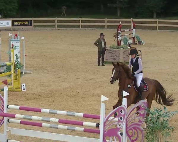 Reitturnier Tiefenhof/Opf. 2025