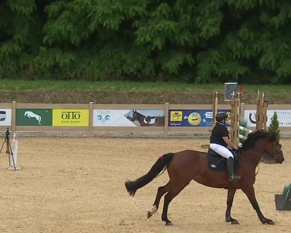 Reitturnier Tiefenhof/Opf. 2025
