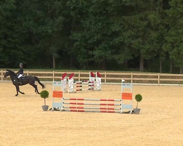 Reitturnier Tiefenhof/Opf. 2025