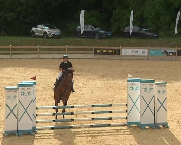 Reitturnier Tiefenhof/Opf. 2025